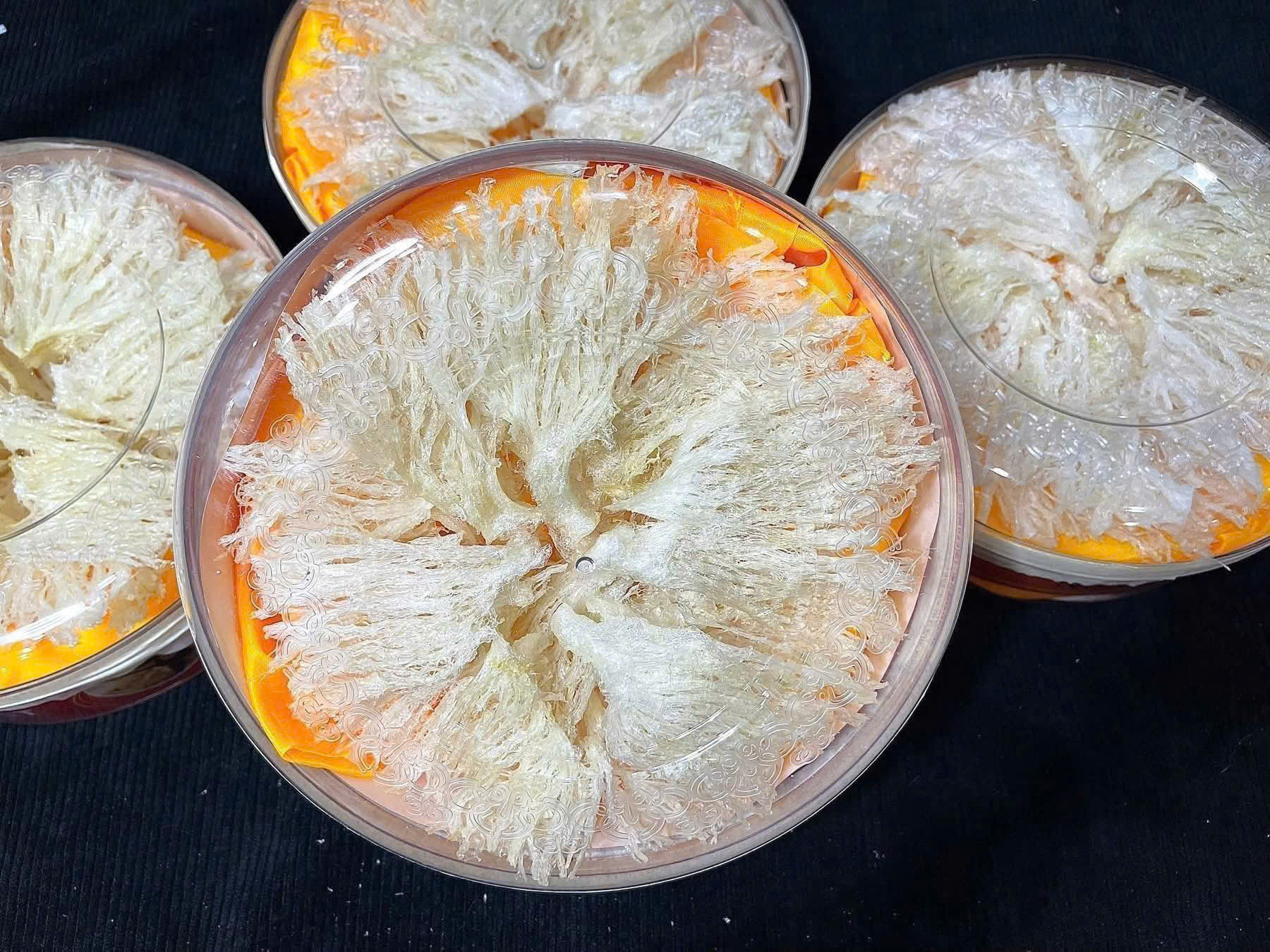 Chân yến làm sạch